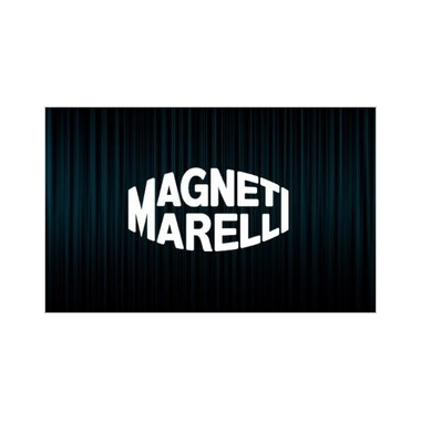 Déverouillage calculateur Magneti Marelli Clio 3 Cup