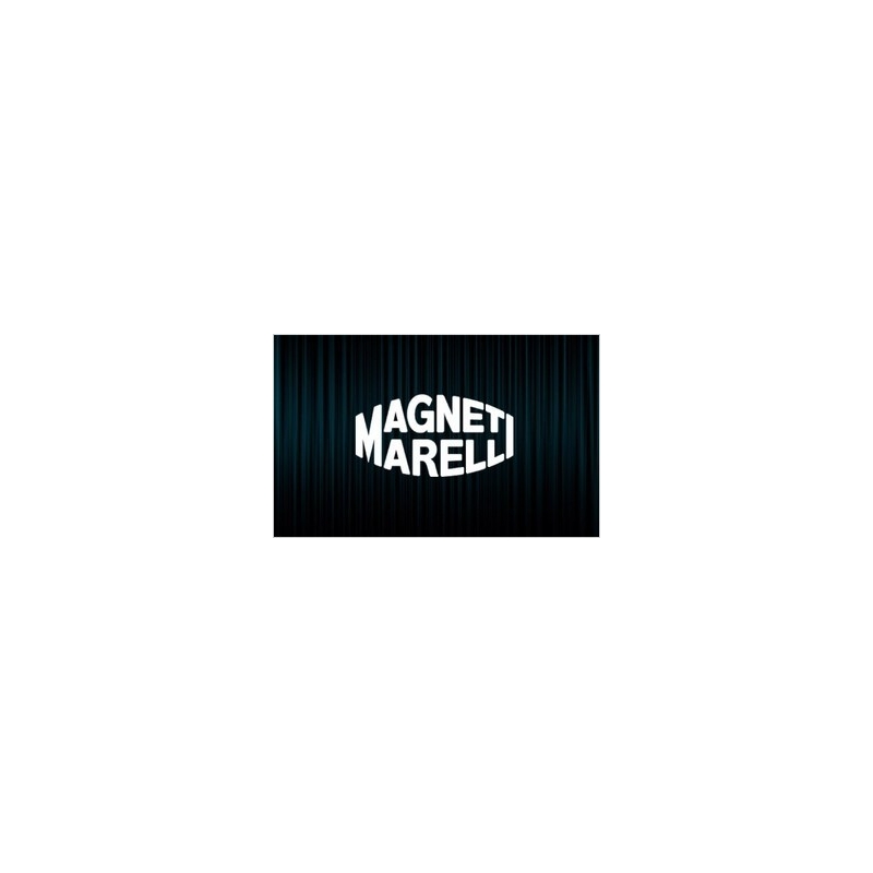 Déverouillage calculateur Magneti Marelli Clio 3 Cup Déverouillage calculateur Magneti Marelli Clio 3 Cup