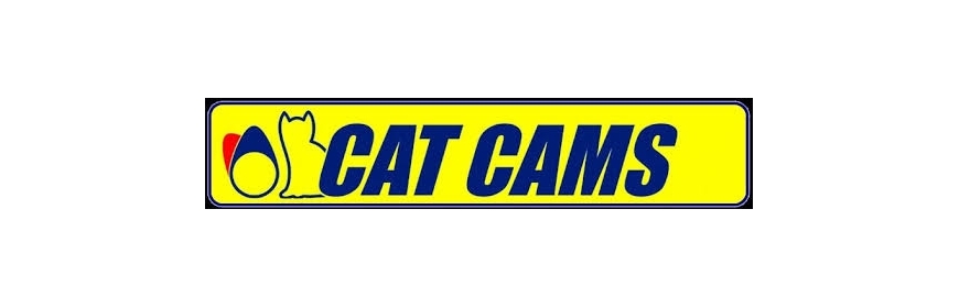 Soupapes forgées CatCams