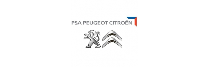 Kits moteur Peugeot Citroën