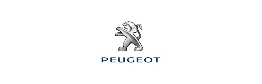 Pistons forgés Wössner pour Peugeot.
