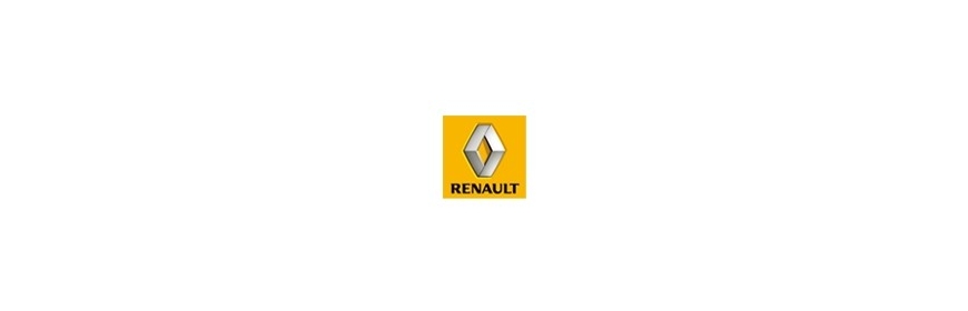 Arceaux multpoints à souder Custom Cages Renault