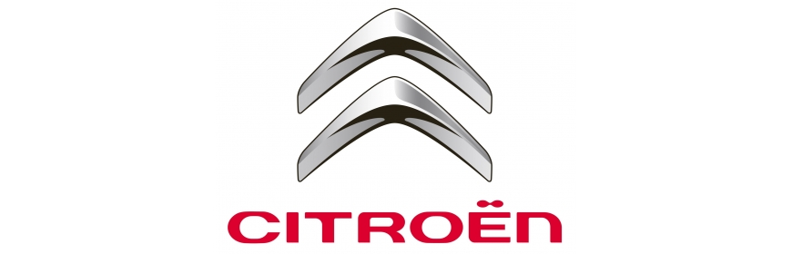 Arceaux multpoints à souder Custom Cages Citroën