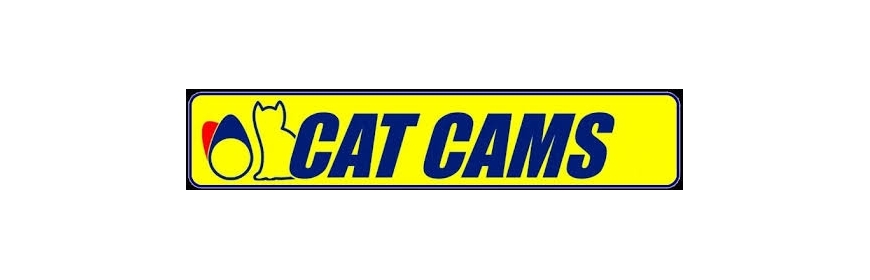 CATCAMS