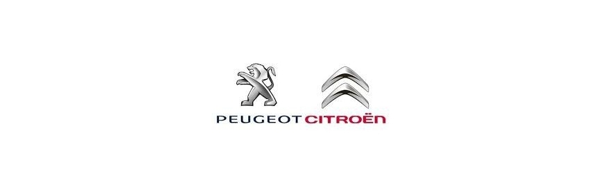 Peugeot / Citroen